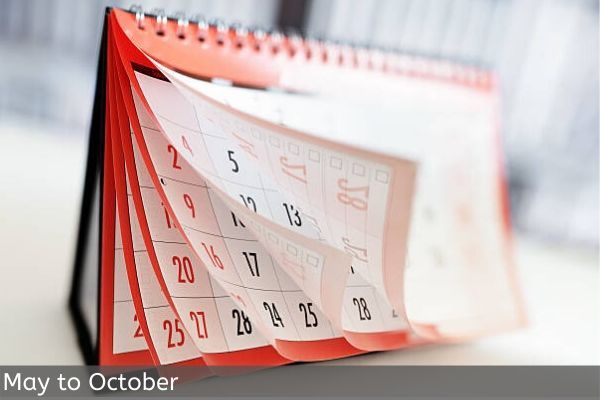 Planning Time For Char Dham Yatra