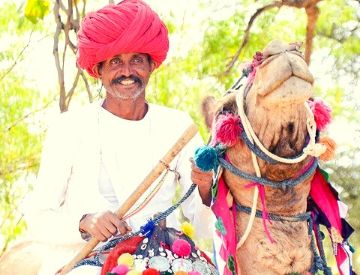 Pushkar Camel Ride In Rajasthan