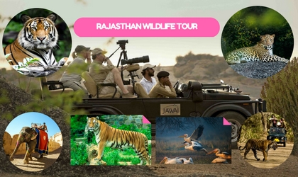 Rajasthan Delight India Tour Package